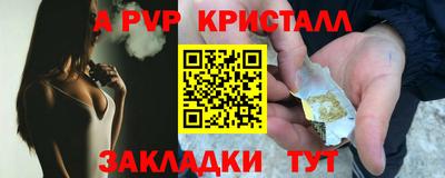СК Шахты