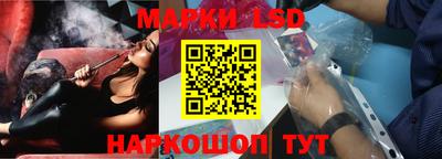 СК Шахты