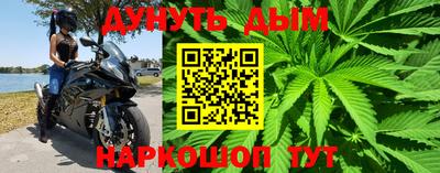 СК Шахты