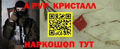 СК Шахты