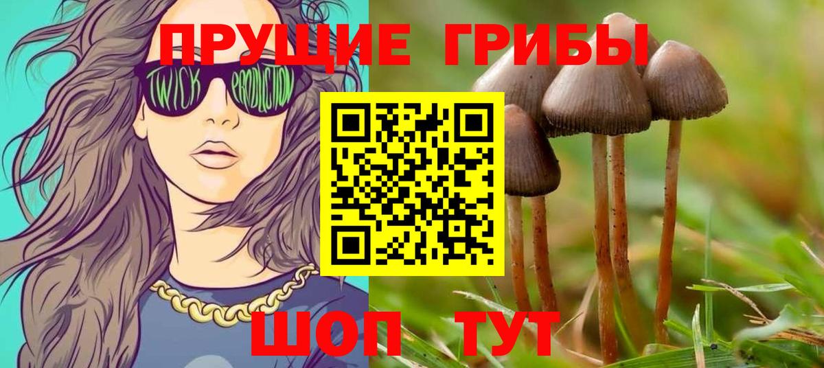 Галлюциногенные грибы Psilocybe  Галлюциногенные грибы ЛСД  Пенза  Вход с VPN 
